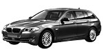 BMW F11 P1D80 Fault Code